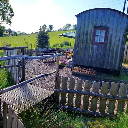 Eco Accommodation Cornflower Holiday Craven Arms Eksteriør bilde