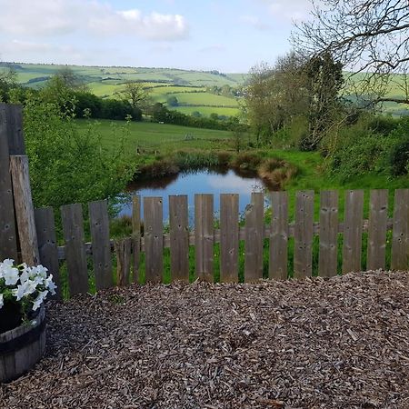 Eco Accommodation Cornflower Holiday Craven Arms Eksteriør bilde