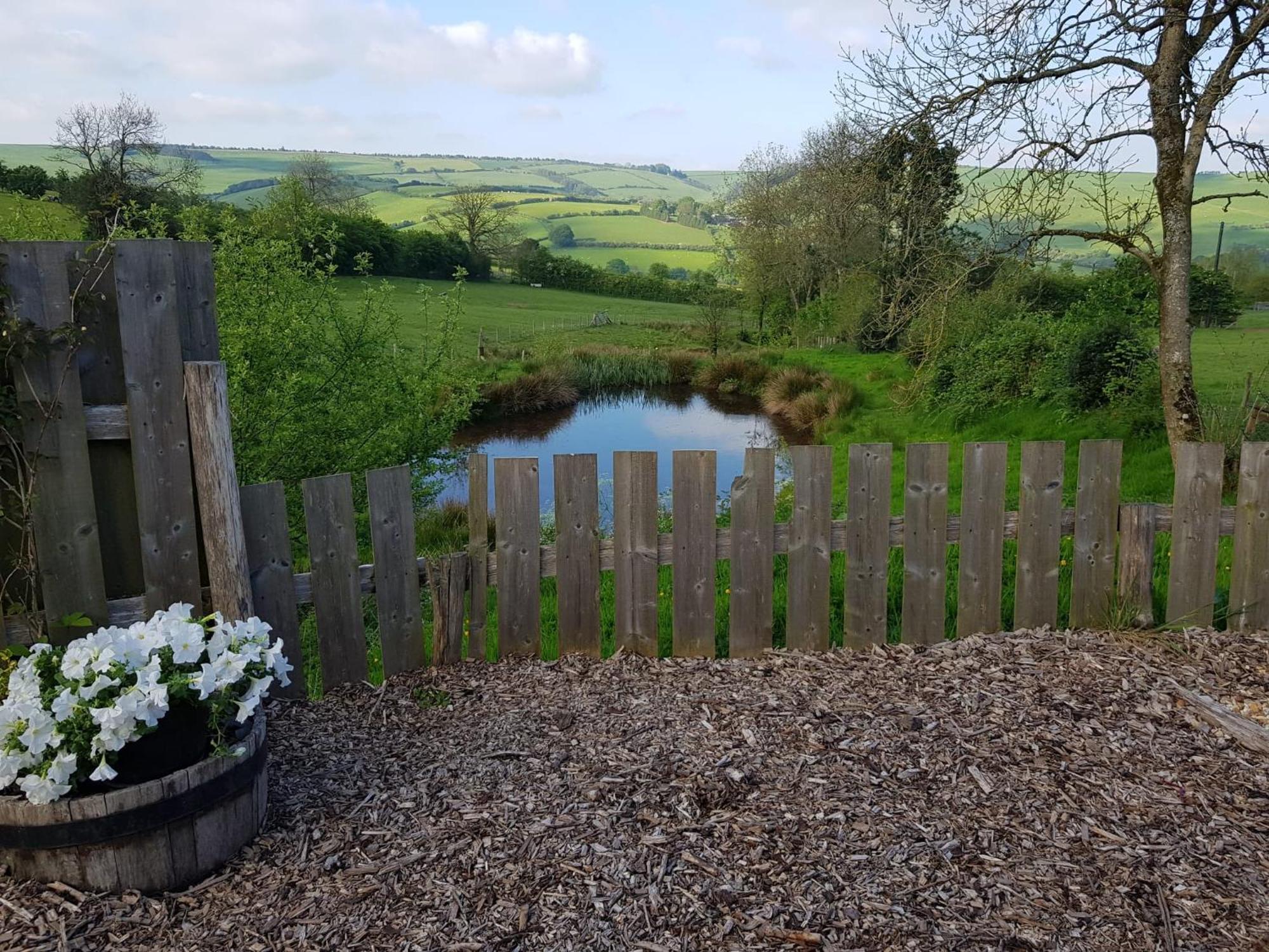 Eco Accommodation Cornflower Holiday Craven Arms Eksteriør bilde