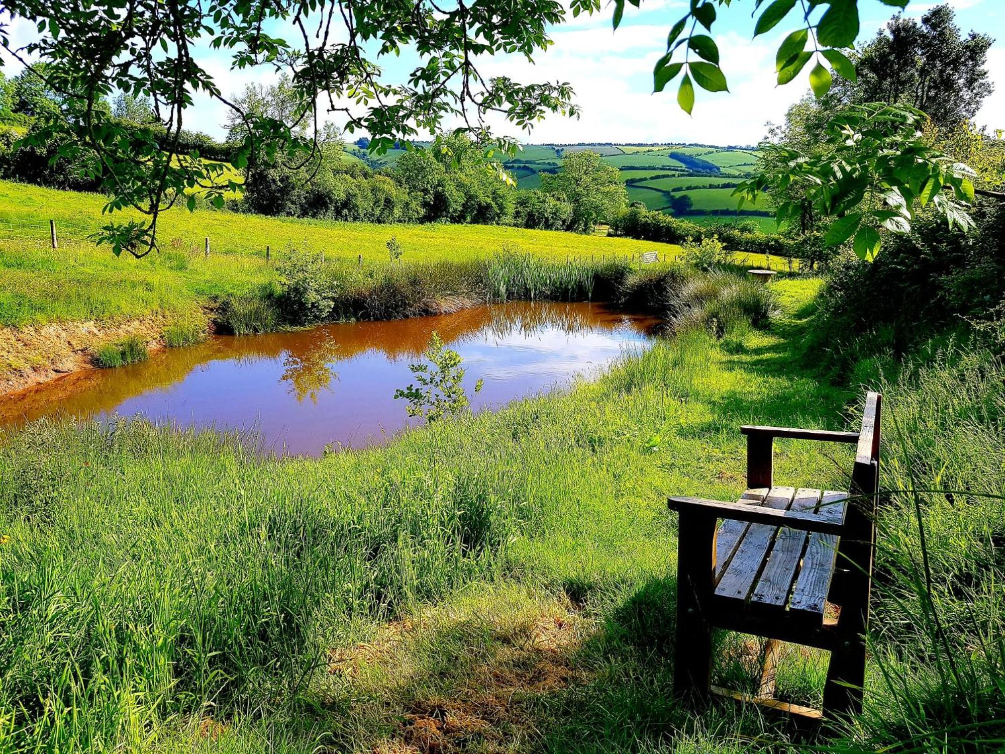 Eco Accommodation Cornflower Holiday Craven Arms Eksteriør bilde